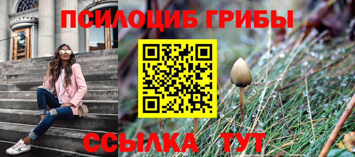 Псилоцибиновые грибы мицелий Сосновоборск
