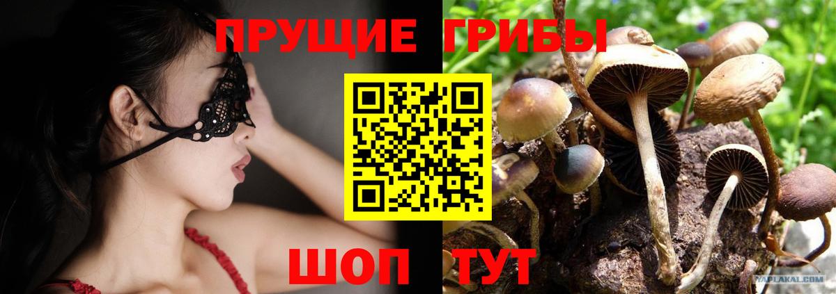 Псилоцибиновые грибы мухоморы  Вход с VPN  Сосновоборск 